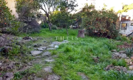 Casa com 4 quartos à venda na Bela Vista, Caxias do Sul  por R$ 297.872