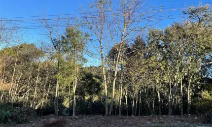 Terreno à venda no são luiz, caxias do sul , 360 m2 por r$ 125.000