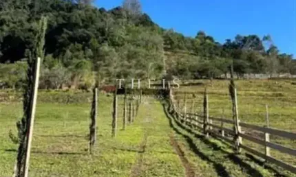 Chácara / sítio com 2 quartos à venda no são pedro da terceira légua, caxias do sul , 20000 m2 por r$ 430.000