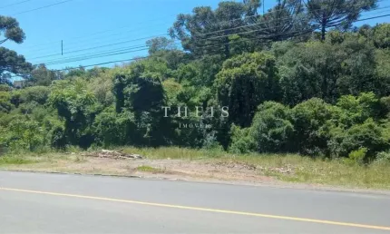 Terreno à venda no simonaggio, garibaldi , 844 m2 por r$ 250.000
