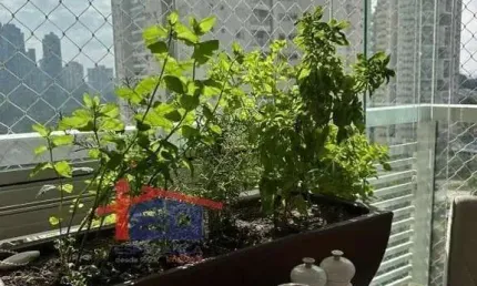 Apartamento com 3 quartos à venda no Adalgisa, Osasco 