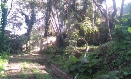 Terreno para venda em são paulo, jardim vitória régia