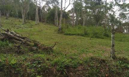 Terreno à venda na Estrada Municipal Joaquim Rosa, Centro, Juquitiba