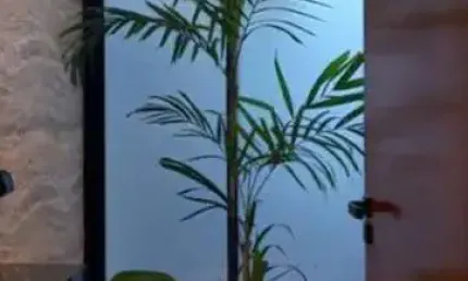 Casa para Venda em São José do Rio Preto, Quinta do Lago Residence, 3 dormitórios, 1 suíte, 5 banheiros, 4 vagas