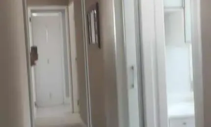 Apartamento para Venda em São Paulo, Nossa Senhora do Ó, 2 dormitórios, 1 suíte, 2 banheiros, 1 vaga