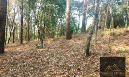 Terreno comercial à venda na Estrada Haroldo Soares Glavan, Cacupé, Florianópolis