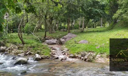 Chácara / sítio com 4 quartos à venda na Rua Érico Kuhn, Forquilhas, São José