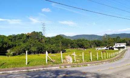 Área à venda, 6394 m² por R$ 2.000.000,00 - Ratones - Florianópolis/SC