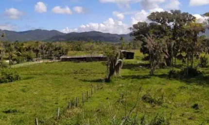 Área à venda, 125000 m² por r$ 8.500.000 - ratones - florianópolis/sc