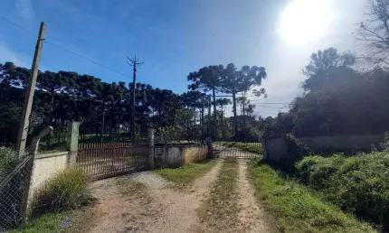 Terreno comercial à venda na Rua Pedro Antoniacomi, Colônia Antônio Prado, Almirante Tamandaré por R$ 4.500.000