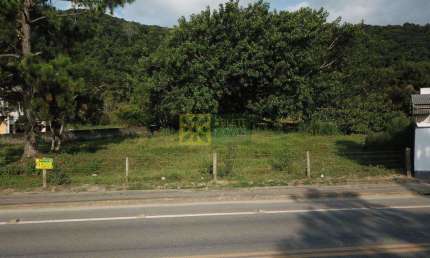 Terreno comercial à venda na Avenida José Neoli Cruz, Balneário Perequê, Porto Belo