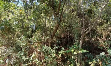 Chácara / sítio com 1 quarto à venda na Vereda das Figueiras, Retiro Vale do Sol, Embu das Artes