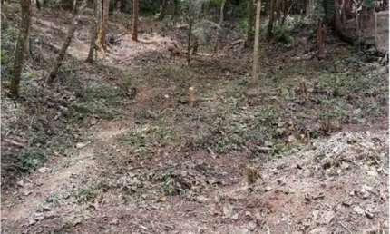 Terrenos em Condomínio para venda em Mairiporã no bairro Cinco Lagos