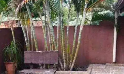Casa com 3 quartos à venda na Rua Agostinho Razente, 435, Jardim Planalto Verde, Cambé