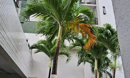 Apartamento com 2 quartos para alugar na Avenida Caxangá, 1, Madalena, Recife