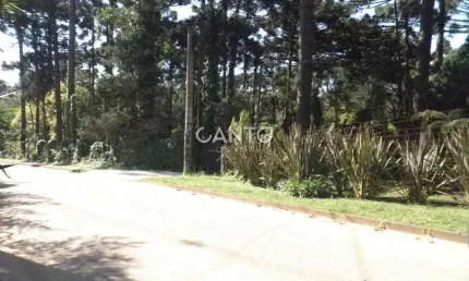 Fazenda à venda na Rua Francisco Buzato, 329, Área Rural de Almirante Tamandaré, Almirante Tamandaré, 110 m2 por R$ 1.800.000