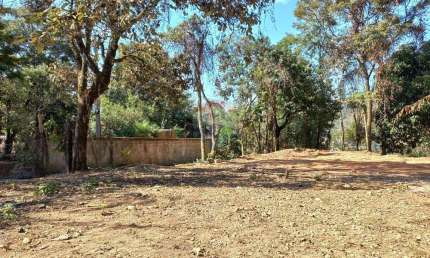 Lote em Macacos – Nova Lima /MG | 427m² | Pronto para construir