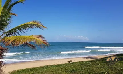 Terreno de 498m² em Condomínio Exclusivo em Reserva Costa de Sauipe  Mata de São João-BA no Complexo Costa do Sauípe