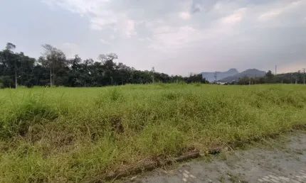 Terreno à venda no Centro, Schroeder 