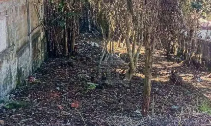 Terreno em condomínio fechado à venda na Rua Sinfonia Coral, --, Parque do Terceiro Lago, São Paulo