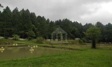 Área à venda, 12067 m²  - Jardim Eucaliptos - São Paulo/SP