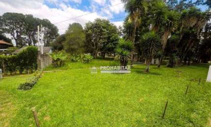 Terreno à venda na Rua David Nicolai, --, Jardim das Palmeiras (Zona Sul), São Paulo