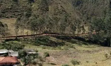 Sitio com três quartos para venda na cidade de Pedro Teixeira, MG