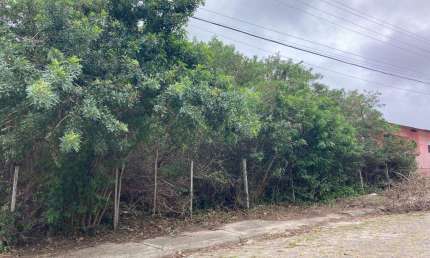 Terreno à venda na Rua Tânia Regina dos Santos, 238, Pântano do Sul, Florianópolis