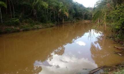 Fazenda 61 Alqueires no mun Padre Bernardo terra apropriada para gado