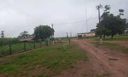 Chácara / sítio à venda na Avenida Central, Jardim Nova Esperança, Goiânia