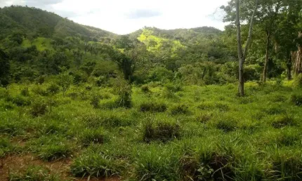 Chácara / sítio com 2 quartos à venda na Avenida Central, Jardim Nova Esperança, Goiânia