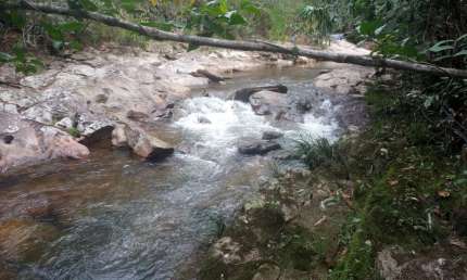 CHACARA RICA EM AGUA 04 ALQUEIRES MUNICIPIO COCALZINHO
