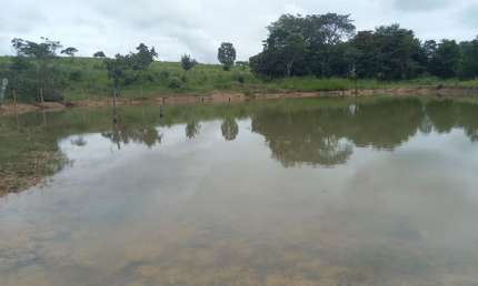 Fazenda com 3 salas à venda na Avenida Central, 6, Jardim Nova Esperança, Goiânia