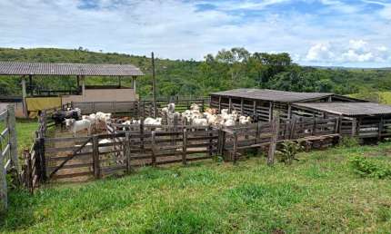 Fazenda à venda na Avenida Bernardo Sayão, 10, Setor Centro Oeste, Goiânia