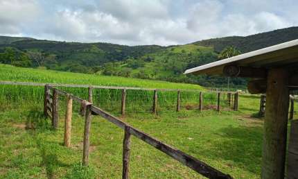 Fazenda com 2 salas à venda na Alameda do Botafogo, Setor Central, Goiânia