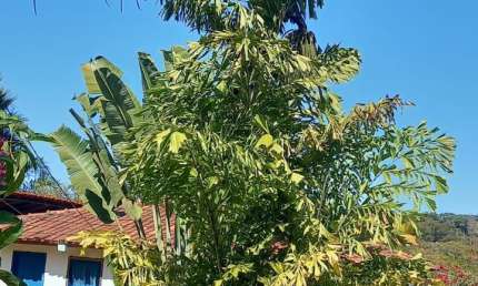 Fazenda com 2 salas à venda na Alameda do Botafogo, 20, Setor Central, Goiânia