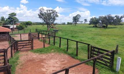 Fazenda com 3 salas à venda na Avenida Dorival de Carvalho, 2, Centro, Jataí