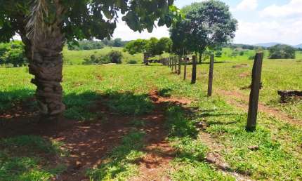Chácara / sítio com 3 quartos à venda na Praça Doutor Pedro Ludovico Teixeira, Setor Central, Goiânia