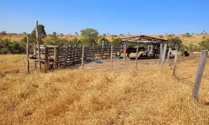 Fazenda com 2 salas à venda na Praça Doutor Pedro Ludovico Teixeira, 6, Setor Central, Goiânia