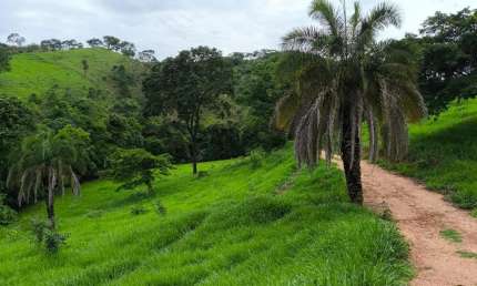 Fazenda com 2 salas à venda na Avenida Goiás, Setor Central, Goiânia