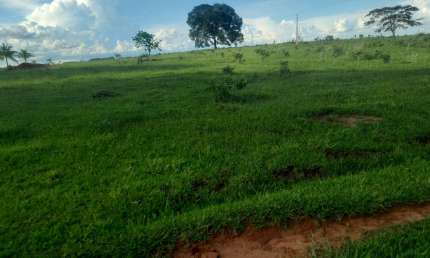 Fazenda com 1 sala à venda na Praça Doutor Pedro Ludovico Teixeira, 2, Setor Central, Goiânia