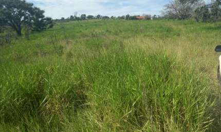 Fazenda com 6 salas à venda na Avenida Central, Jardim Nova Esperança, Goiânia