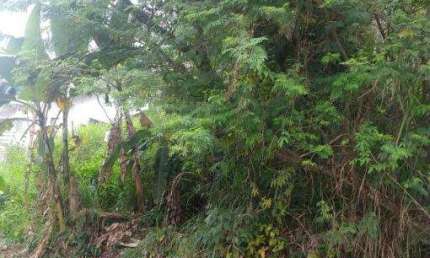 Terreno à venda no Benfica, Caraguatatuba , 360 m2 por R$ 130.000