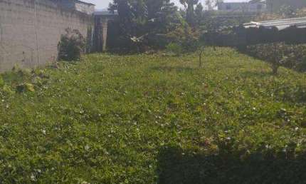 Terreno à venda no Morro do Algodão, Caraguatatuba , 29250 m2 por R$ 195.000