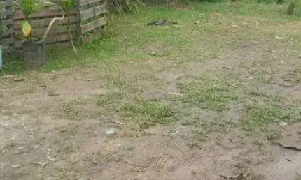 Terreno à venda no Jardim Tarumãs, Caraguatatuba , 250 m2 por R$ 212.000