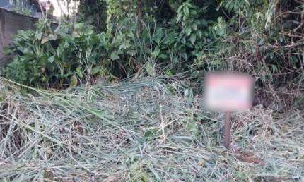 Terreno à venda no Massaguaçu, Caraguatatuba , 360 m2 por R$ 160.000