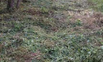 Terreno à venda em Ubatumirim, Ubatuba , 812 m2 por R$ 280.000