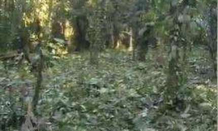 Terreno à venda na Barra do Una, São Sebastião , 3000 m2 por R$ 480.000
