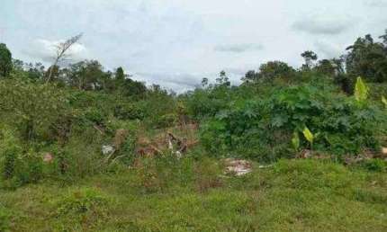Terreno à venda no Balneário dos Golfinhos, Caraguatatuba , 275 m2 por R$ 120.000