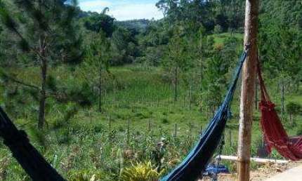 Chácara / sítio com 1 quarto à venda em Pouso Alto, Natividade da Serra , 1500 m2 por R$ 160.000